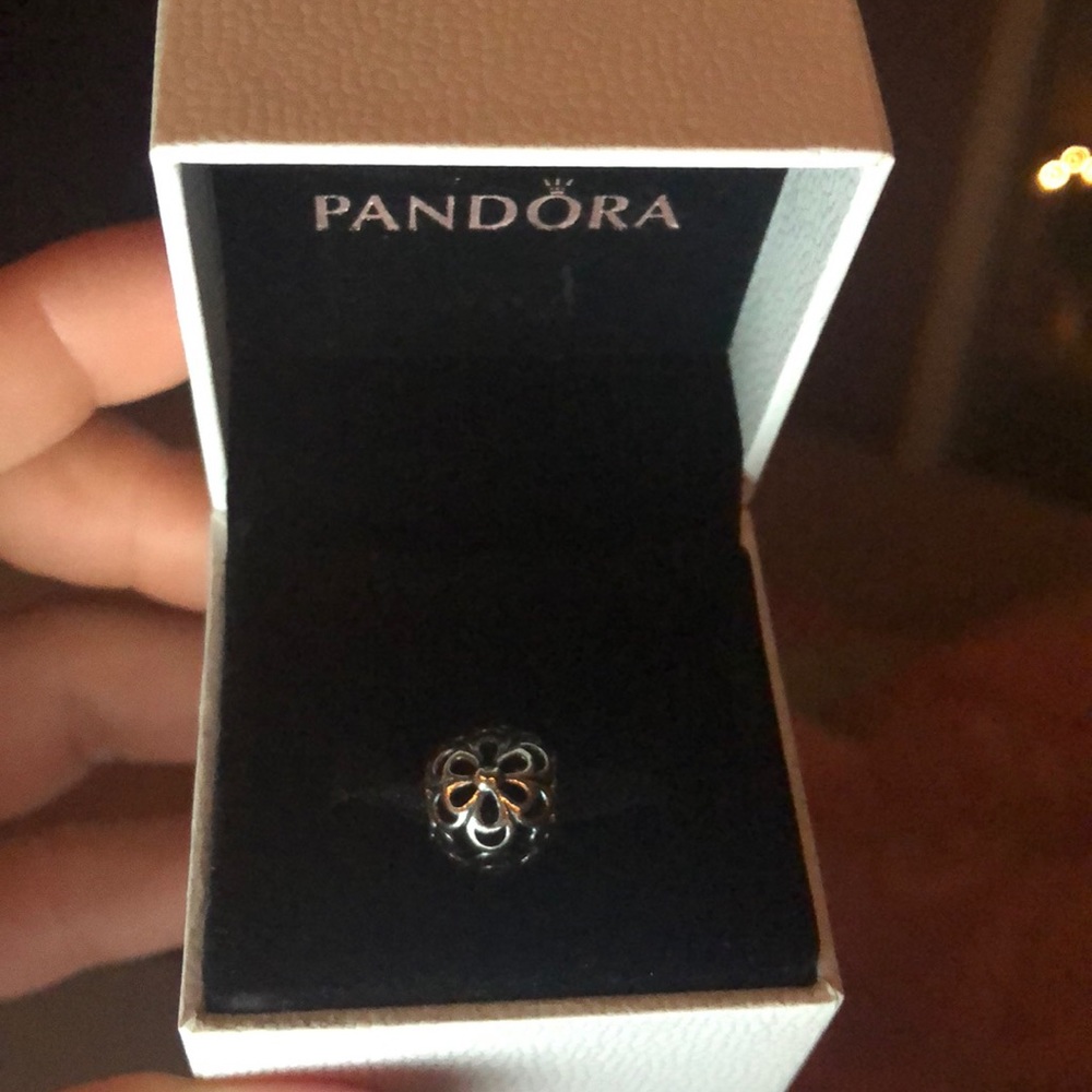Pandora Daisies Charm